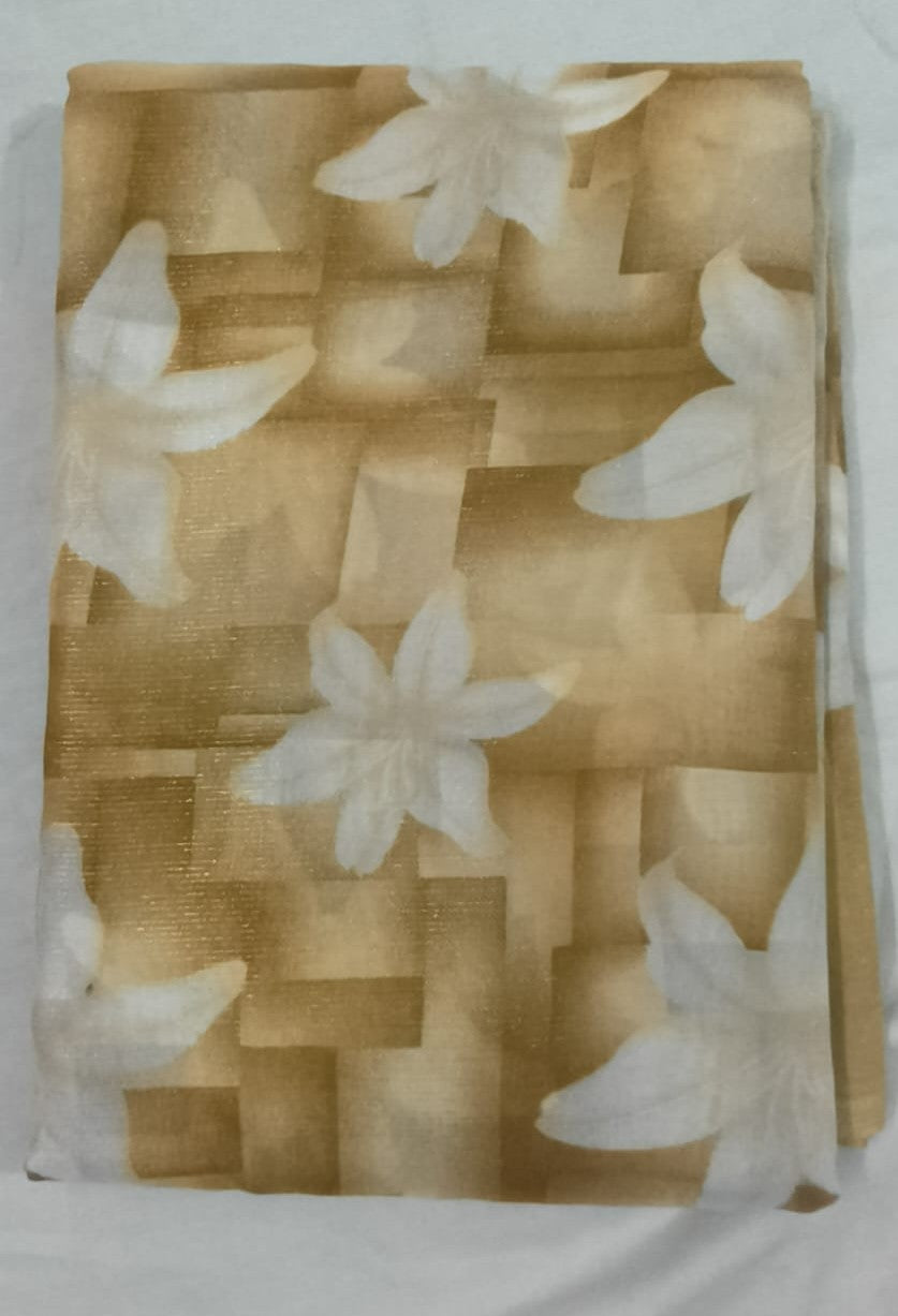RANIYAL SIMMER FANCY SAREES